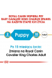 Obrázok pre Royal Canin BHN Cavalier King Charles Spaniel Puppy - suché krmivo pro štěňata - 1,5kg