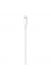 Obrázok pre Apple MQGH2ZM/A kabel Lightning 2 m Bílá