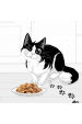 Obrázok pre Felix Fantastic Želatinové krmivo pro koťata Hovězí, kuře, losos, sardinka - 12x 85 g