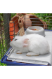 Obrázok pre FERPLAST Rabbit 120 - Klec