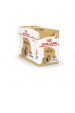 Obrázok pre ROYAL CANIN Shih Tzu Adult Mokré krmivo pro psy Paštika 12x85 g